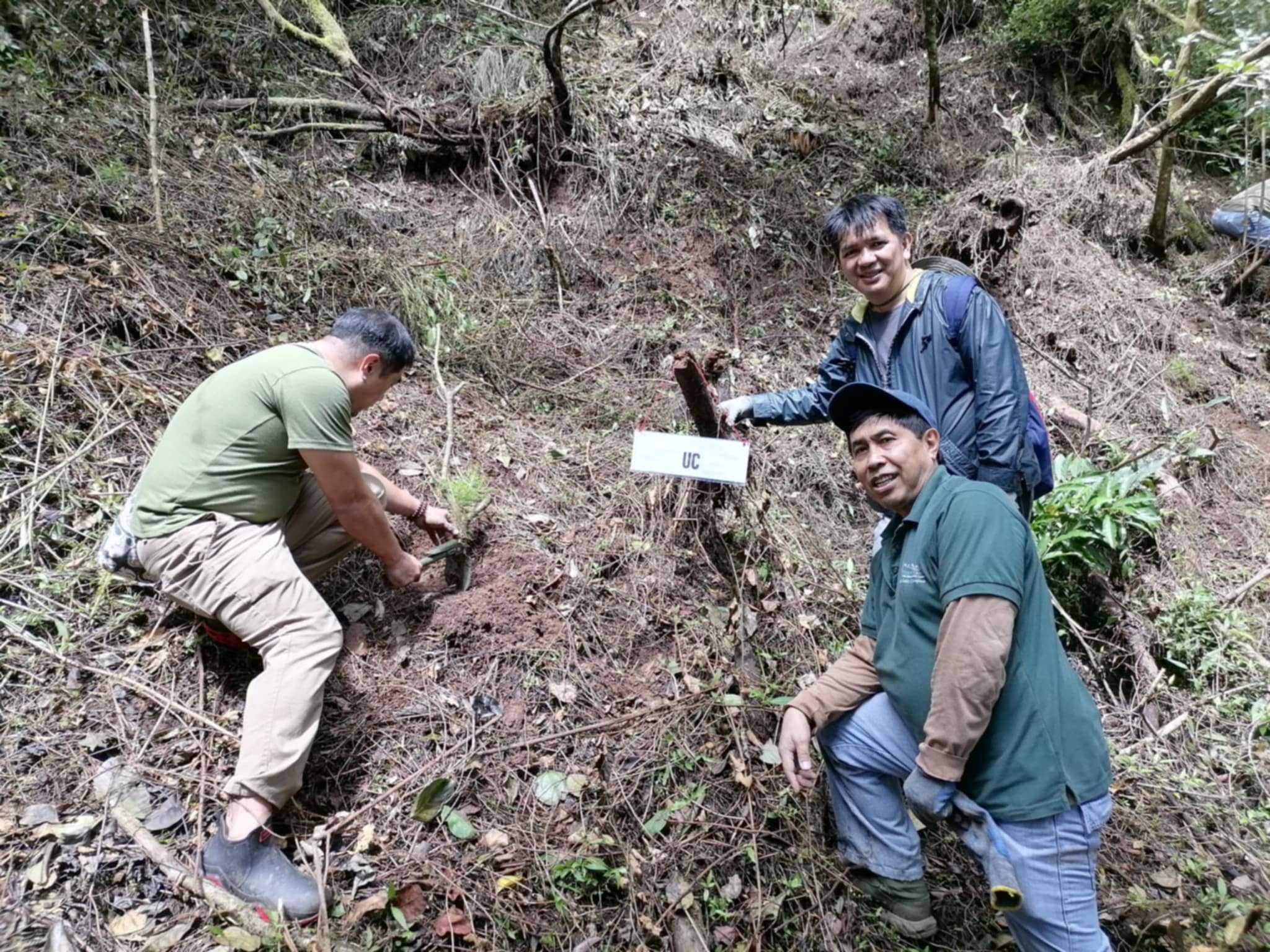 UC College of Nursing Faculty Joins 2025 Arbor Day Celebration with DENR-CAR and Professional Organizations